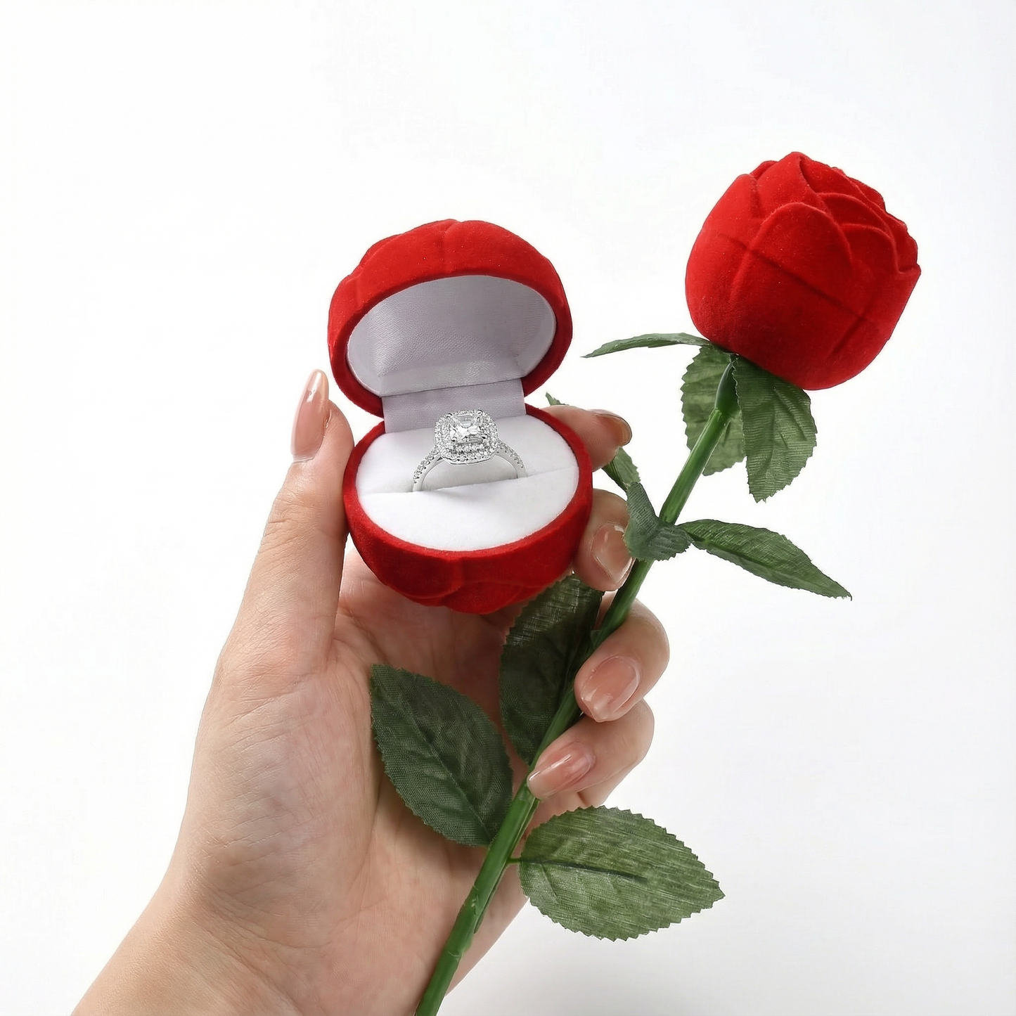 The Velvet Promise Rose